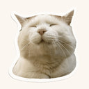 Blissful Cat Sticker