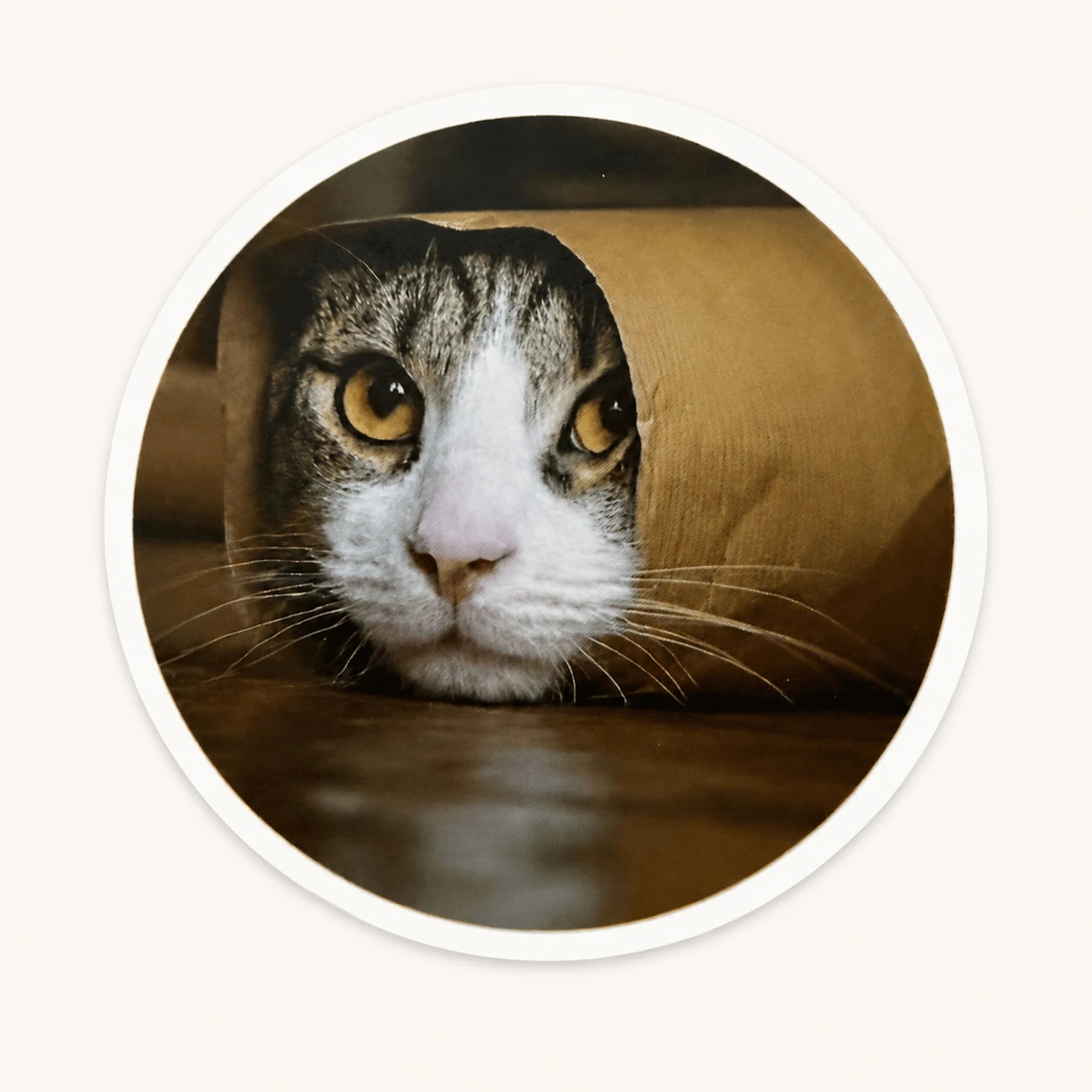 Cute Cat In Bag Sticker