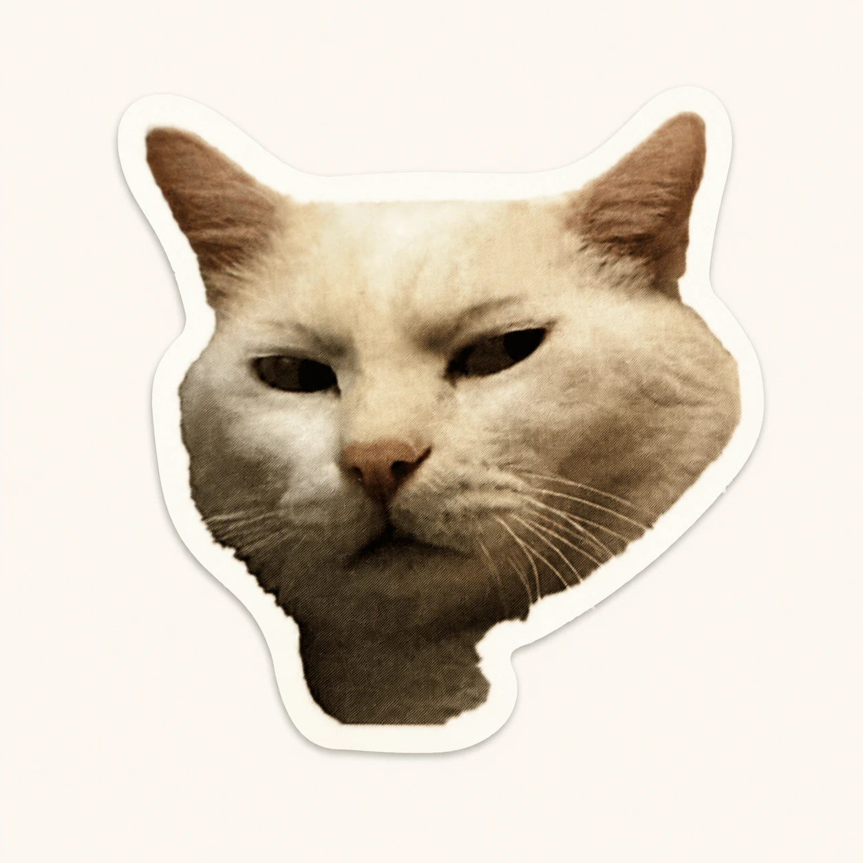 Grumpy Cat Face Sticker