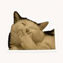 Shy Cat Sticker