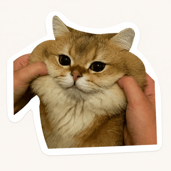 Squishy Cat Sticker