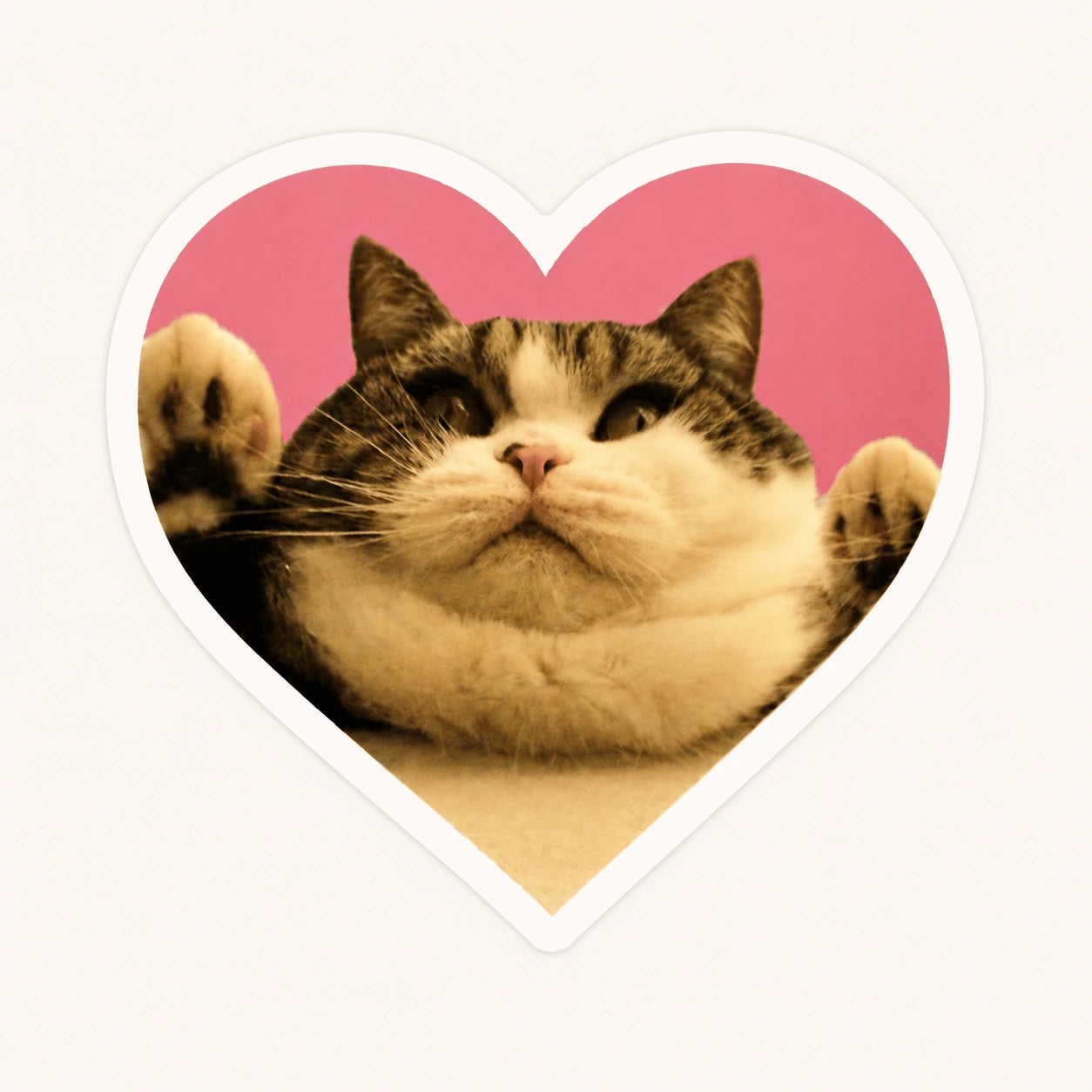 Paws Up Pink Heart Cat Sticker