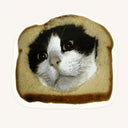 Bread Cat Sticker