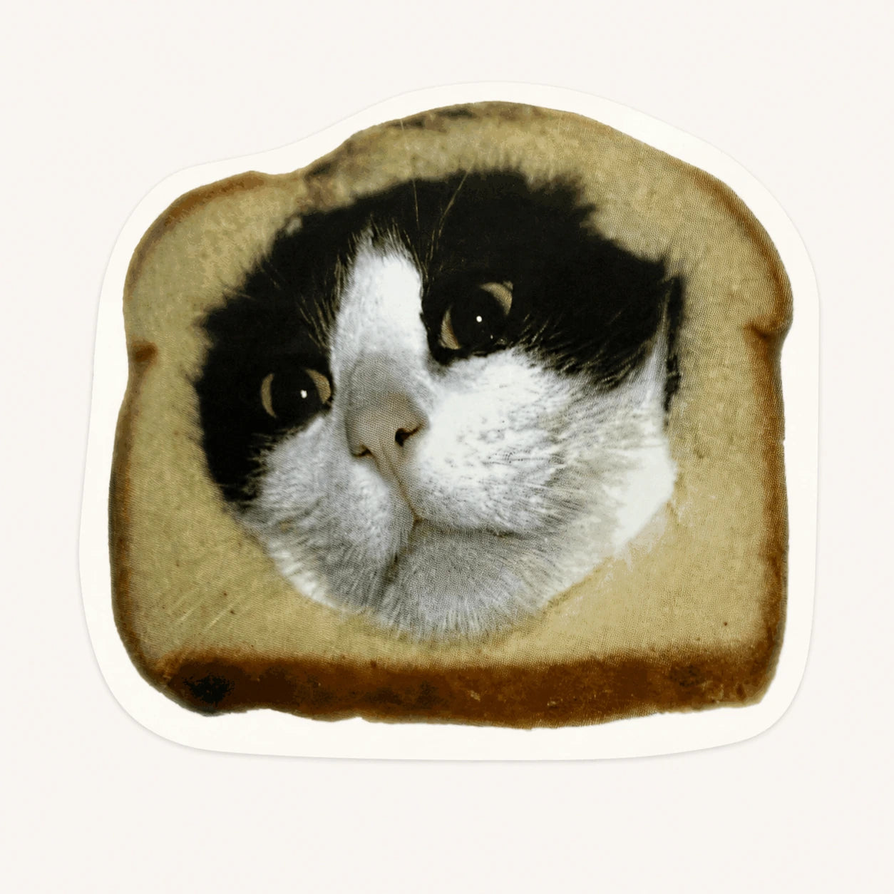 Bread Cat Sticker