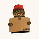 Delivery Cat Sticker