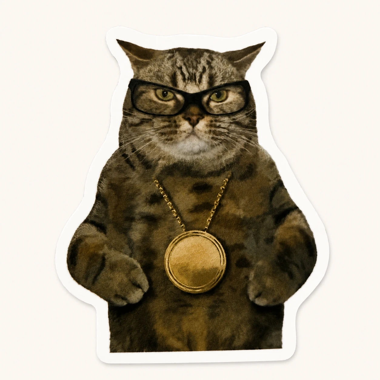 Smart Cat Glasses Sticker