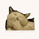 Giggling Cat Sticker