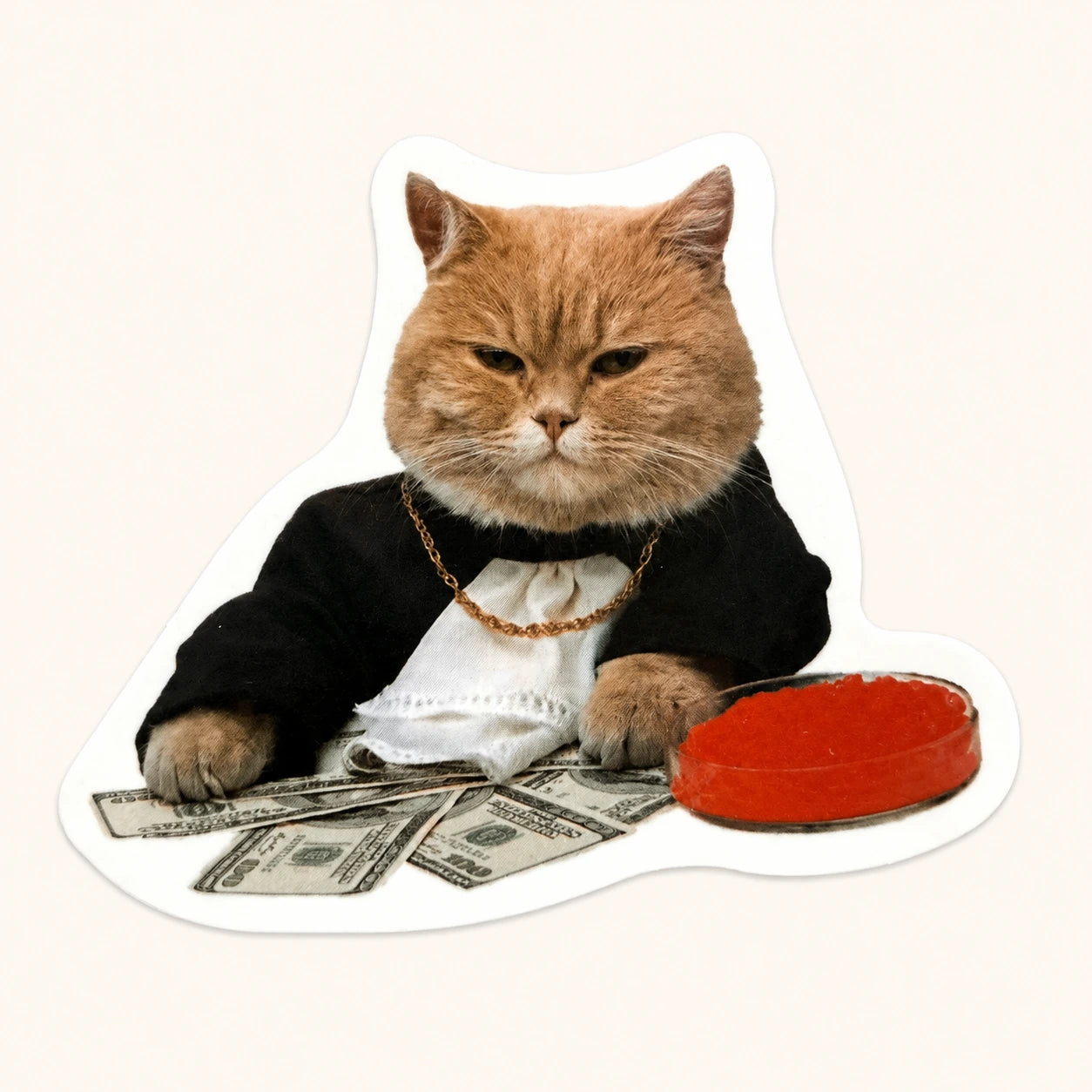 Rich Cat Sticker