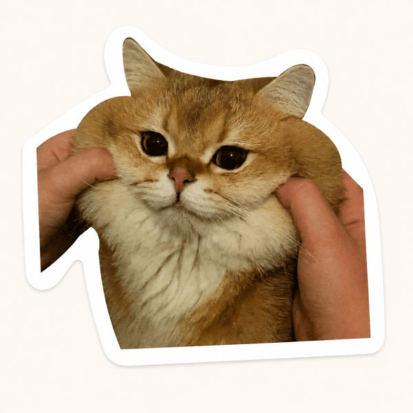 Squished Cat Cheeks Sticker