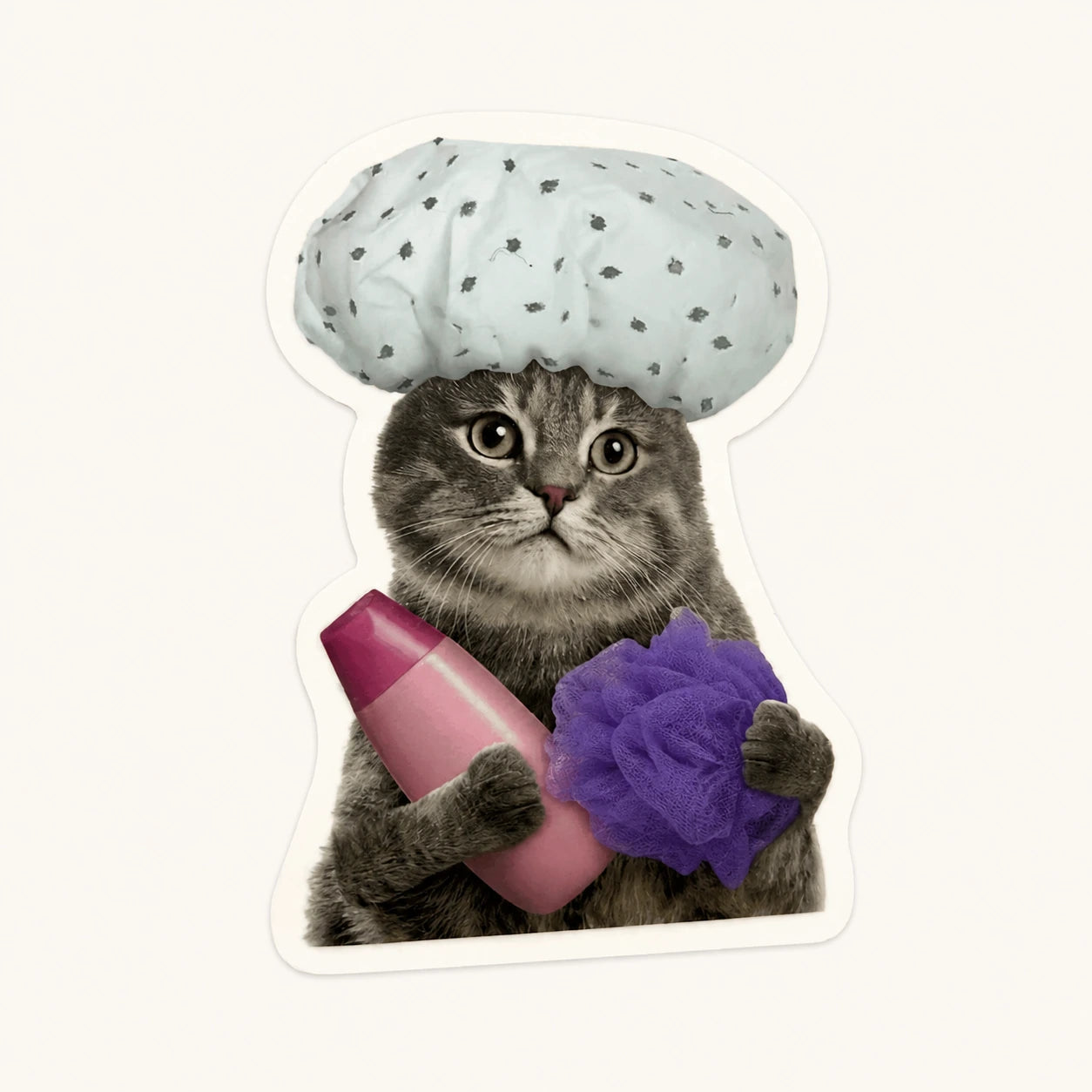 Pampered Cat Shower Sticker