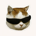Cool Cat Black Sunglasses Sticker