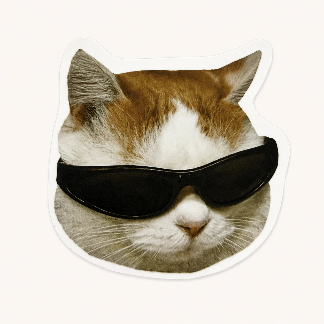 Cool Cat Black Sunglasses Sticker