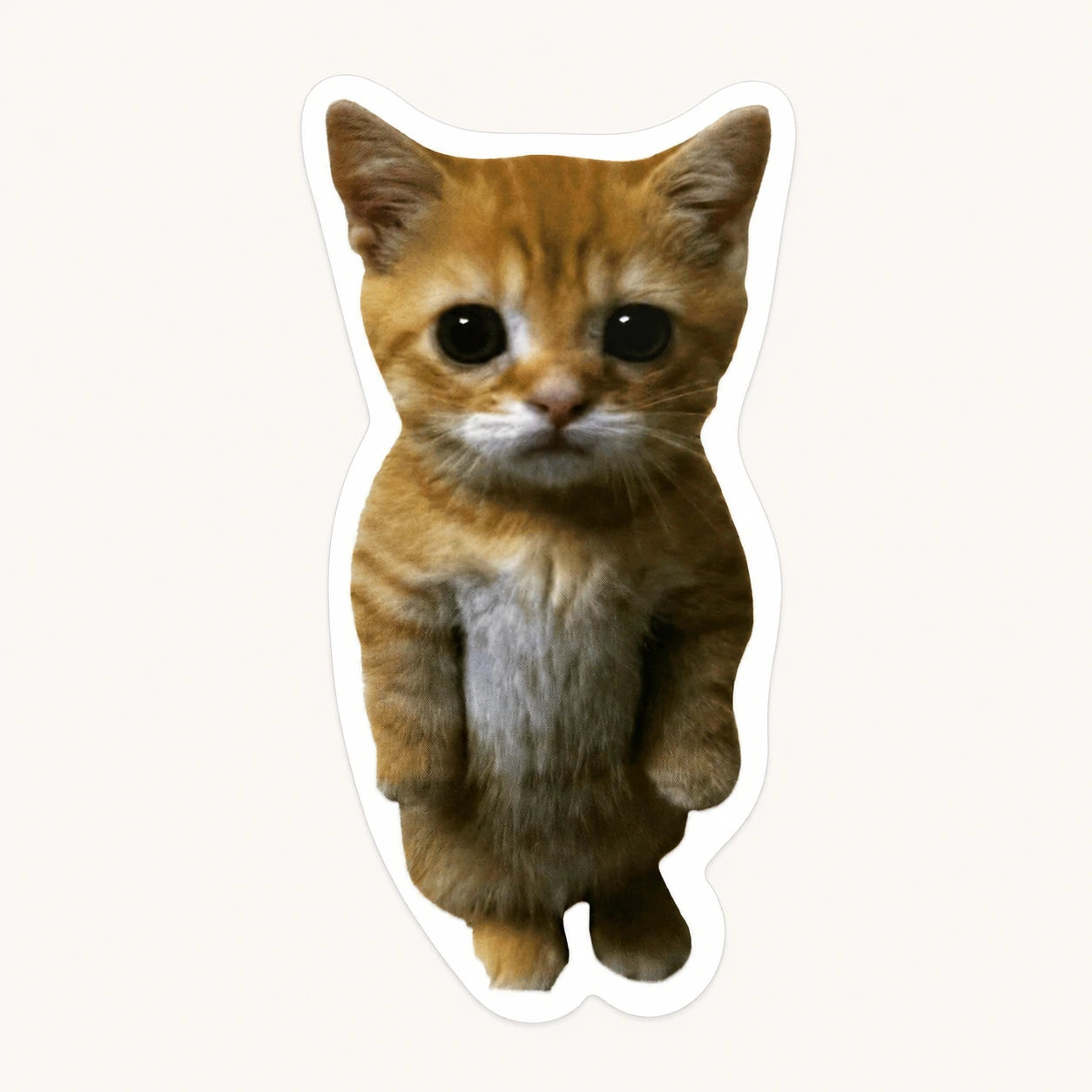 Puss In Boots Cat Sticker