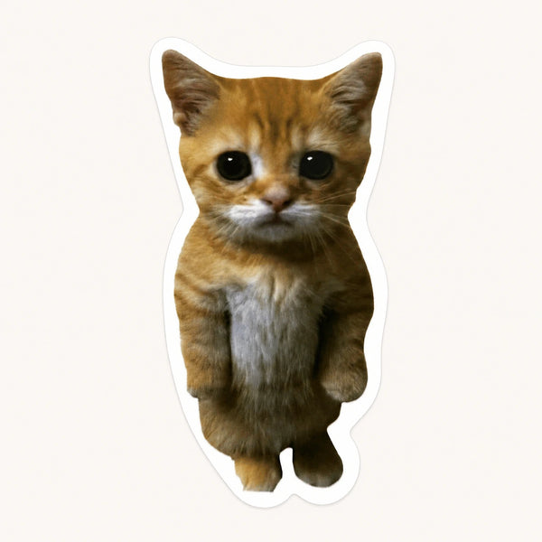 Puss In Boots Cat Sticker