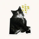 Didn't Do It Cat Sticker