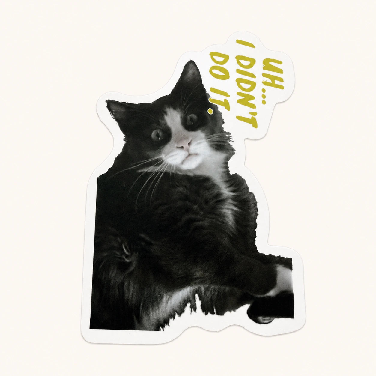 Didn't Do It Cat Sticker