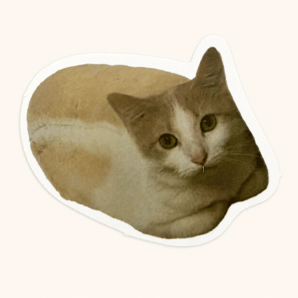 Cat Loaf Sticker