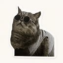 Cool Cat in Round Sunglasses Sticker