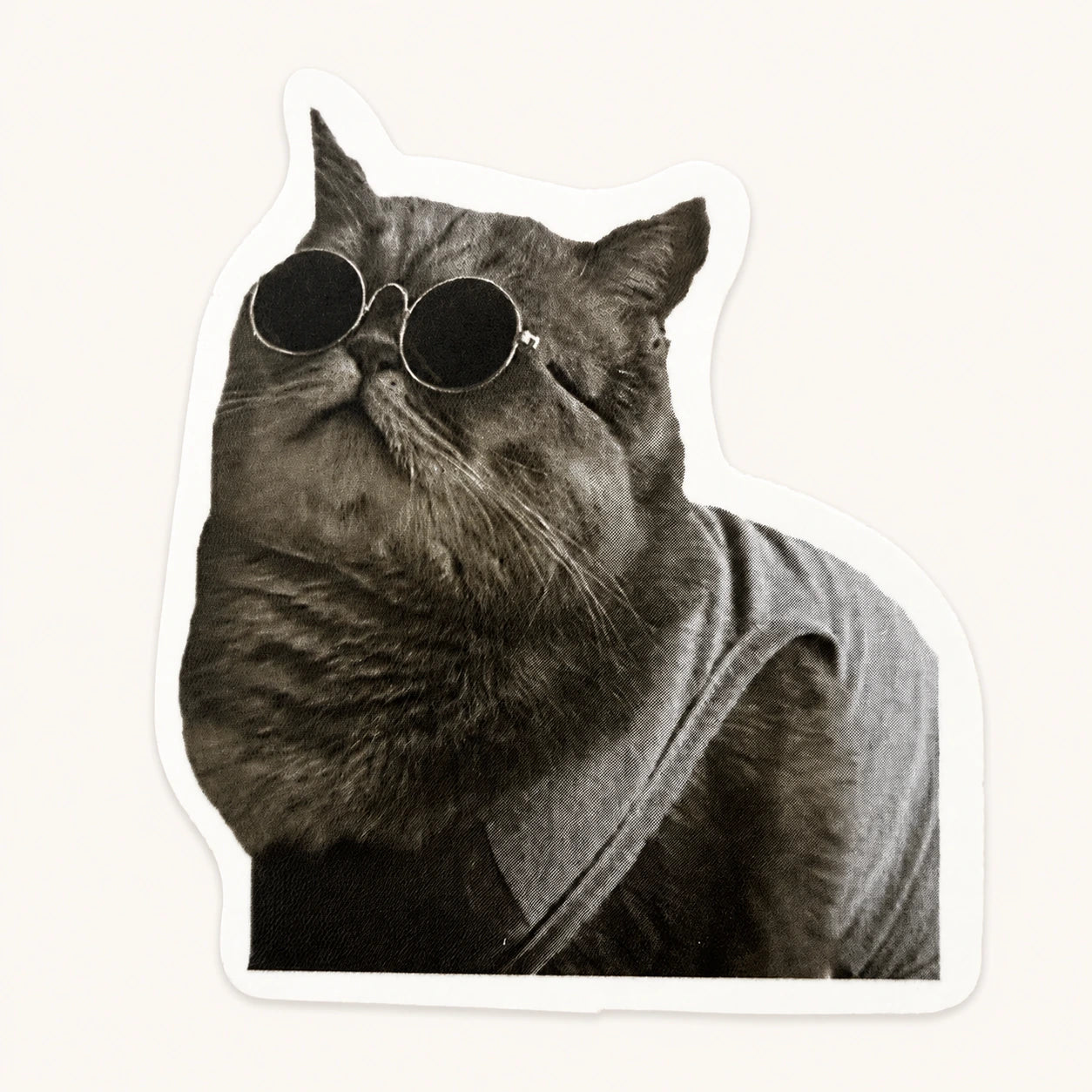 Cool Cat in Round Sunglasses Sticker
