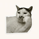 Contemplative Cat Sticker
