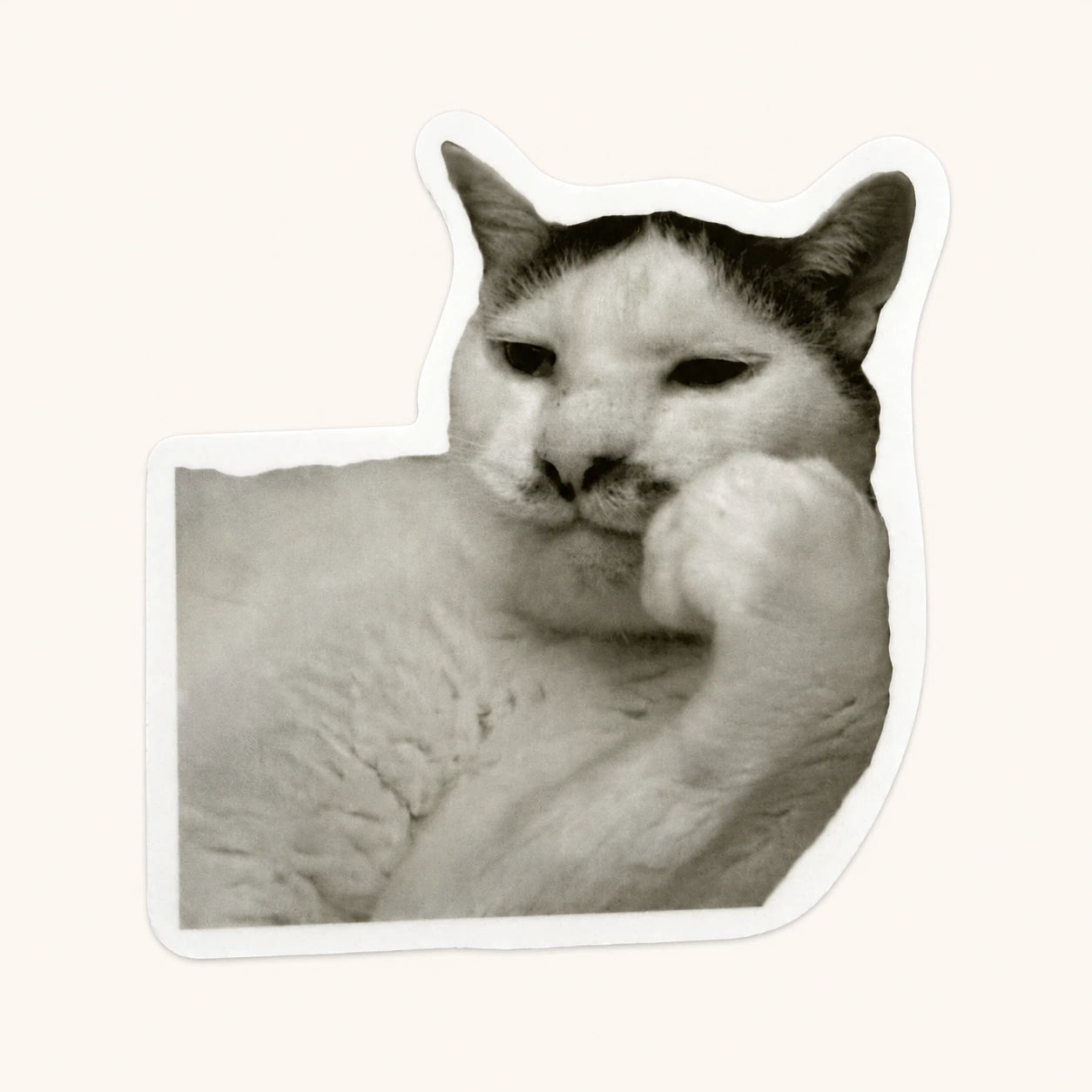Contemplative Cat Sticker