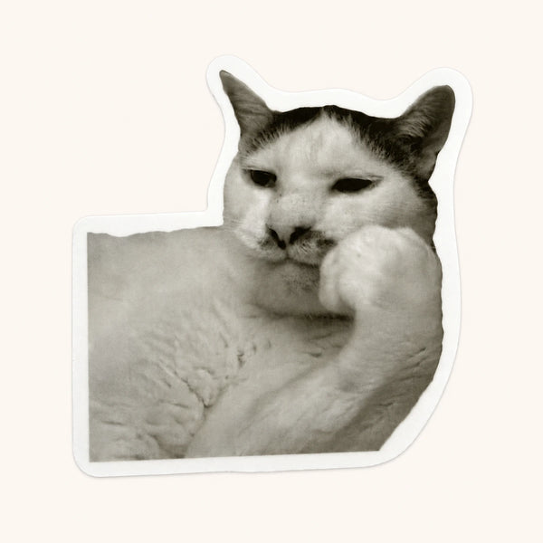 Contemplative Cat Sticker
