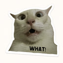 What Cat Meme Sticker