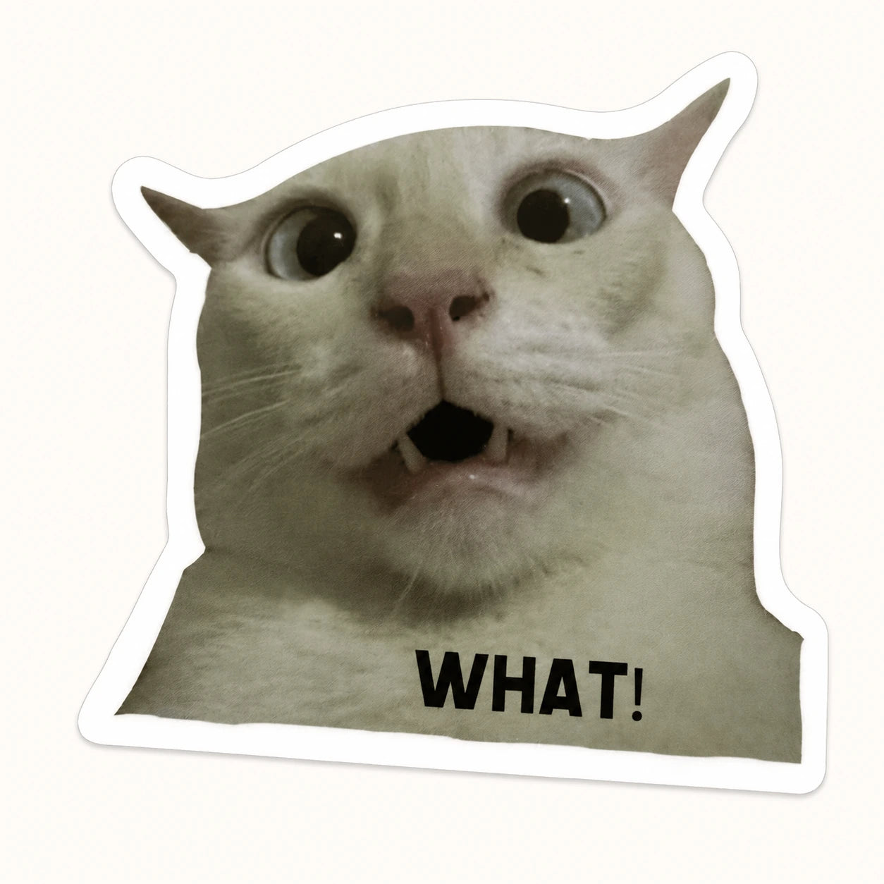 What Cat Meme Sticker