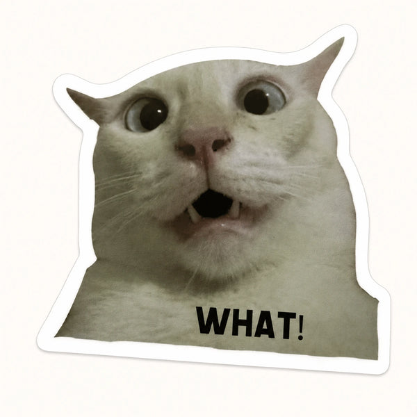 What Cat Meme Sticker