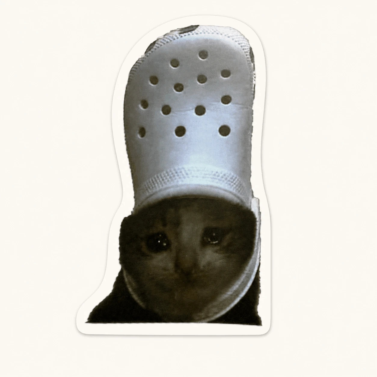 Sad Cat Croc Head Sticker