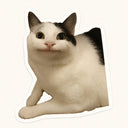 Polite Cat Meme Sticker