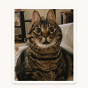 Wide-Eyed Shocked Tabby Cat Sticker