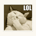 Laughing Cat LOL Magnet