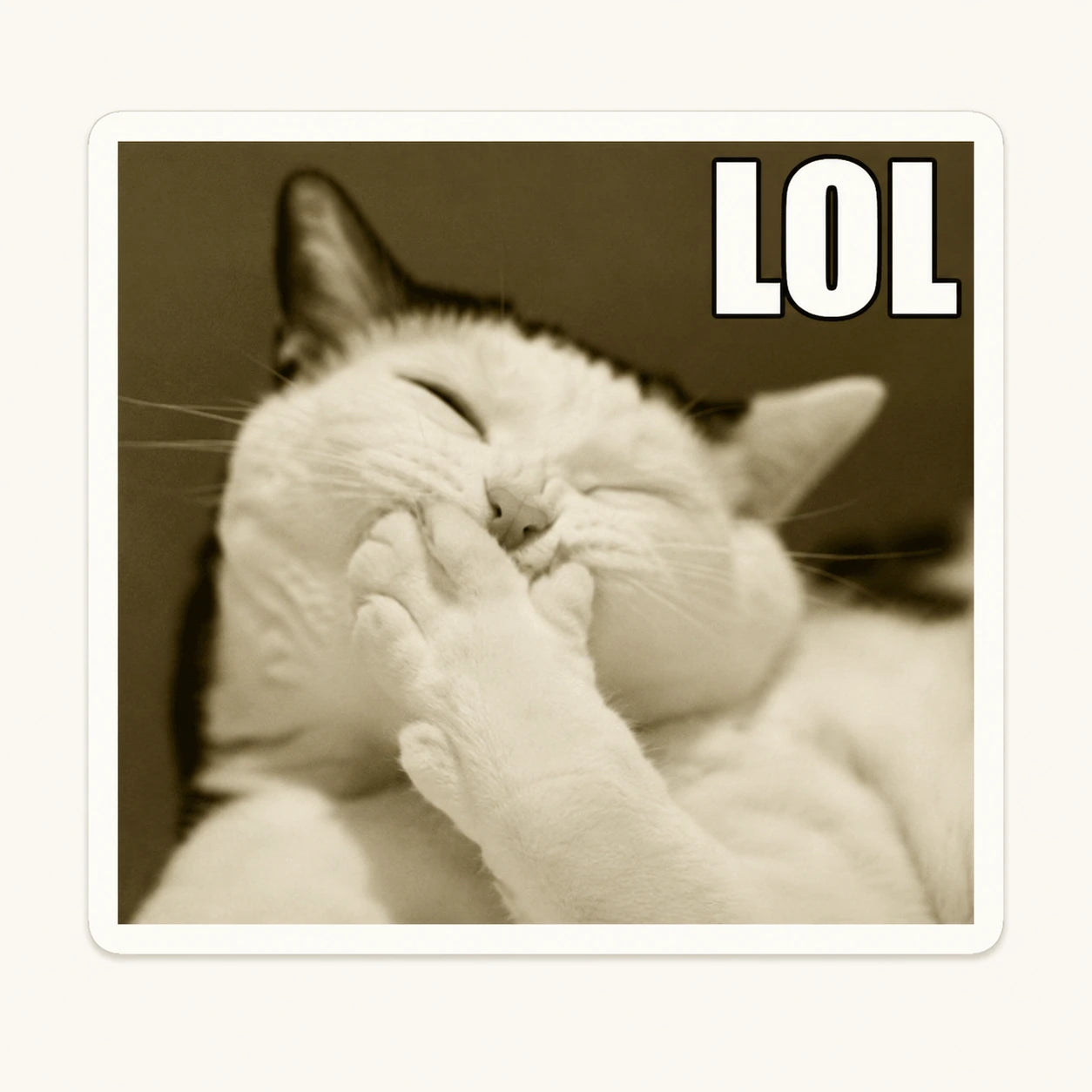 Laughing Cat LOL Magnet
