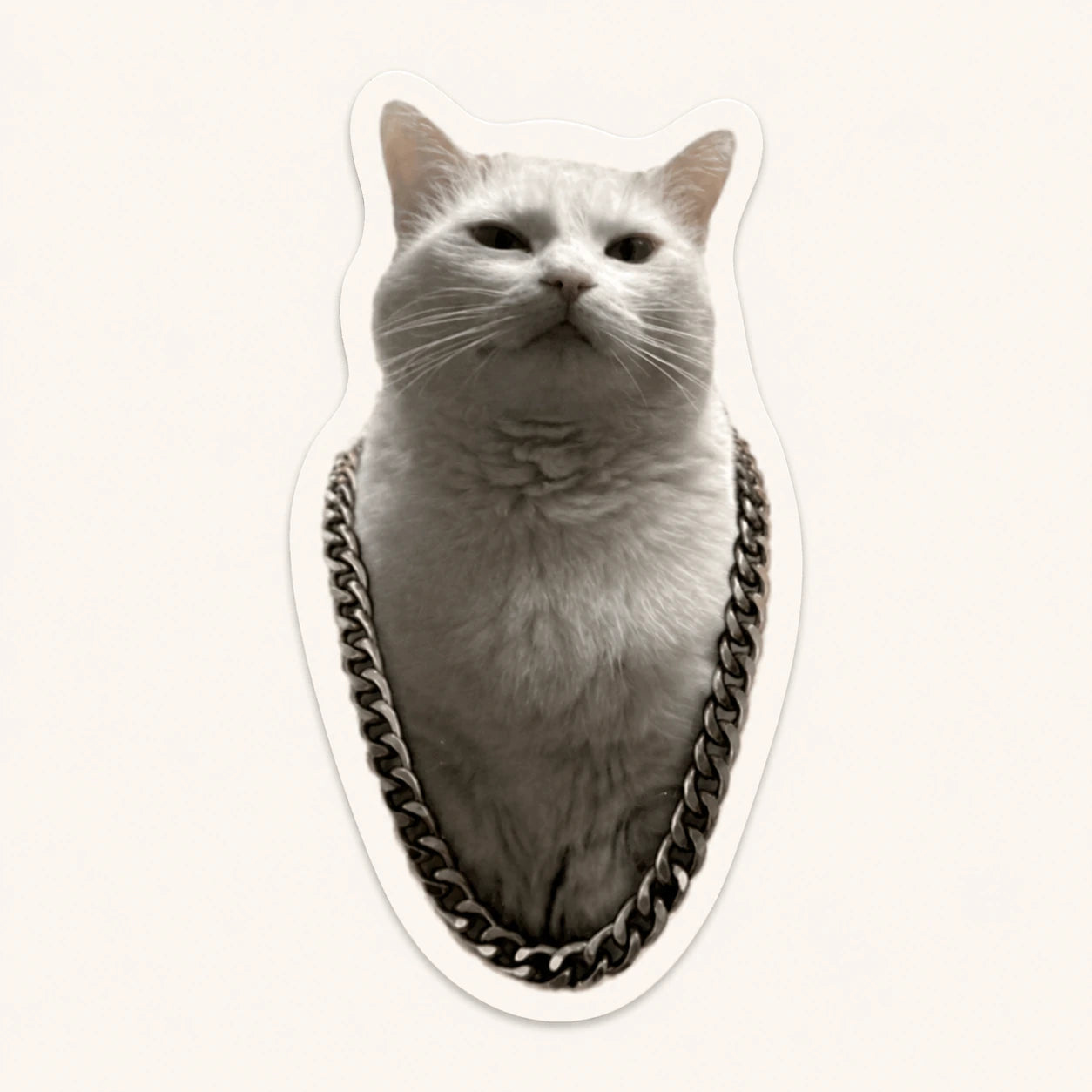 Cool Cat Chain Sticker
