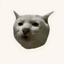 Smug Cat Sticker
