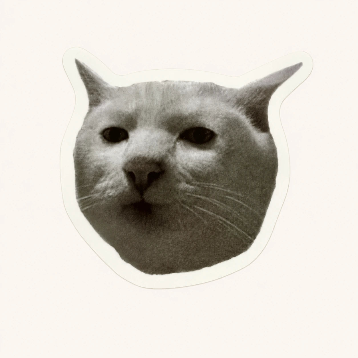 Smug Cat Sticker