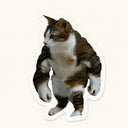 Buff Cat Sticker