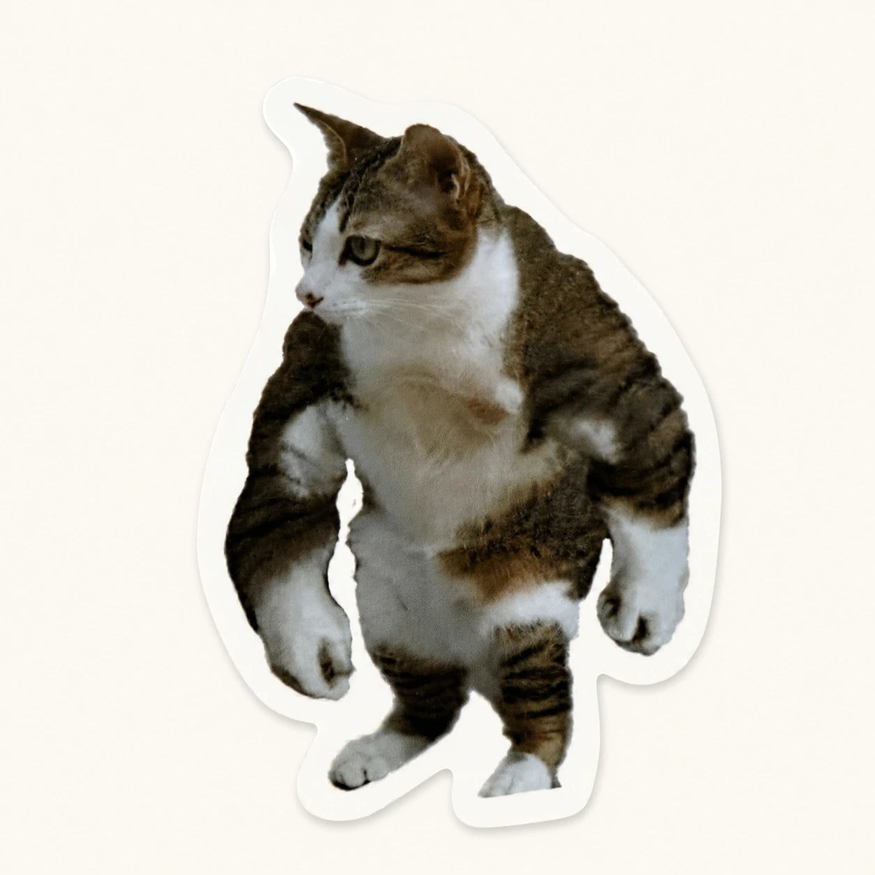 Buff Cat Sticker