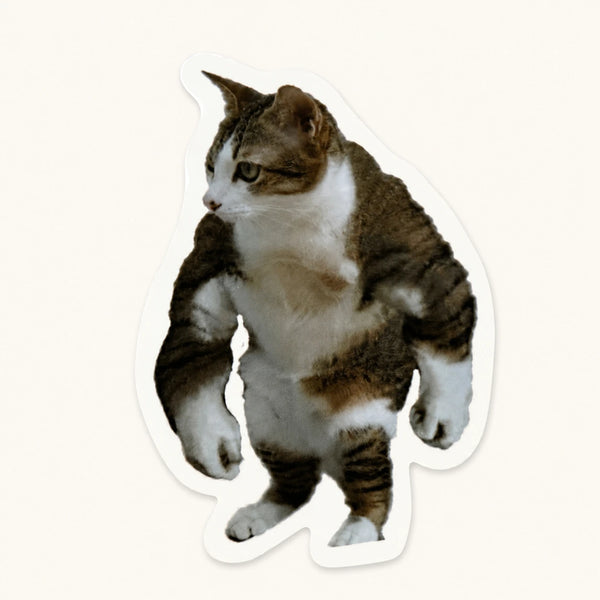 Buff Cat Sticker