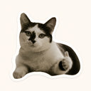 Tuxedo Cat Thumbs Up Sticker