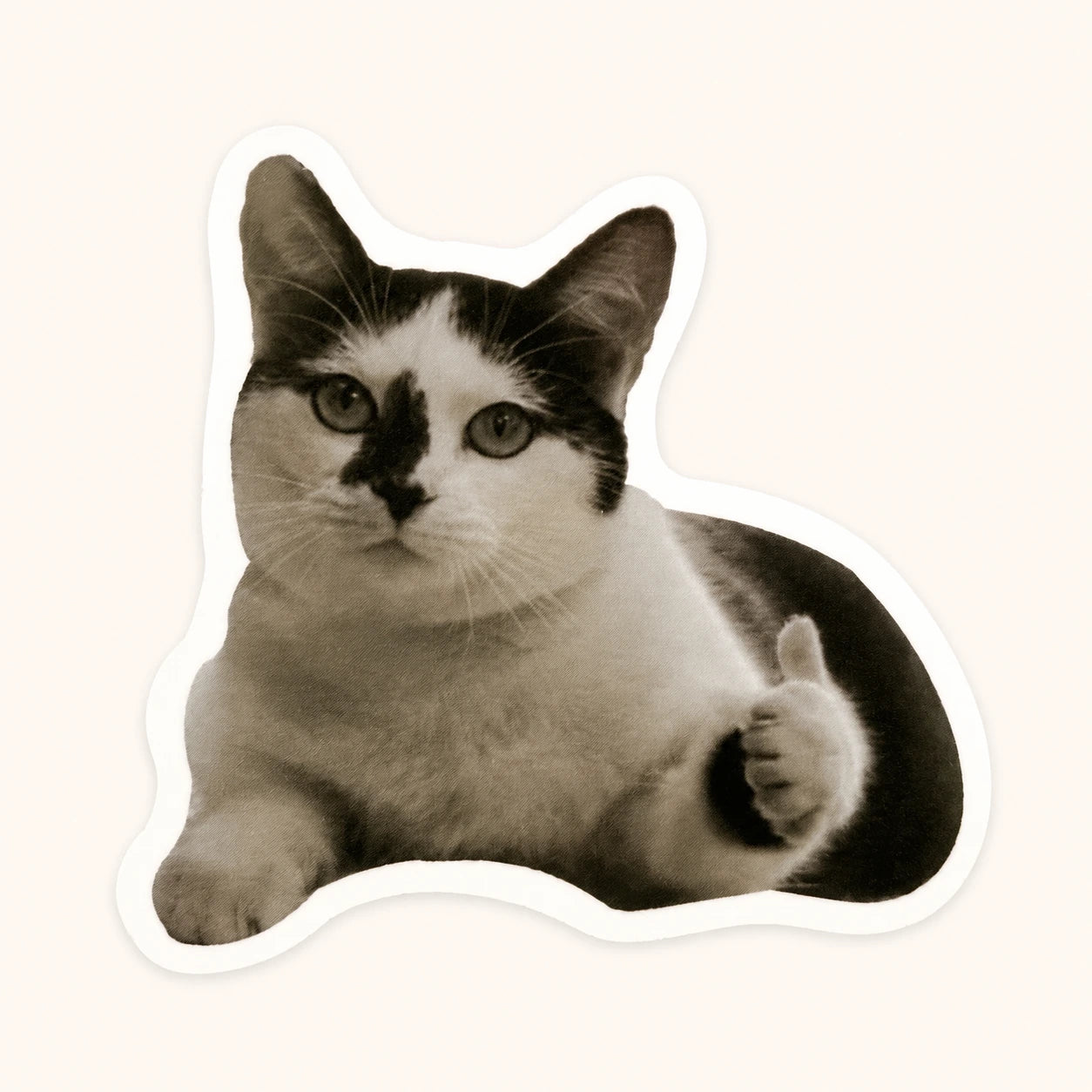 Tuxedo Cat Thumbs Up Sticker