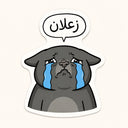 Crying Zaalan Cat Sticker