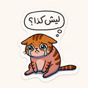 Why Like This Cat Sticker