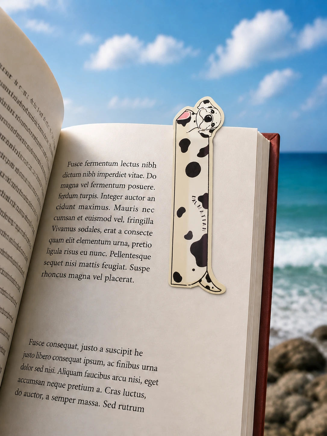 Dalmatian Book Tag