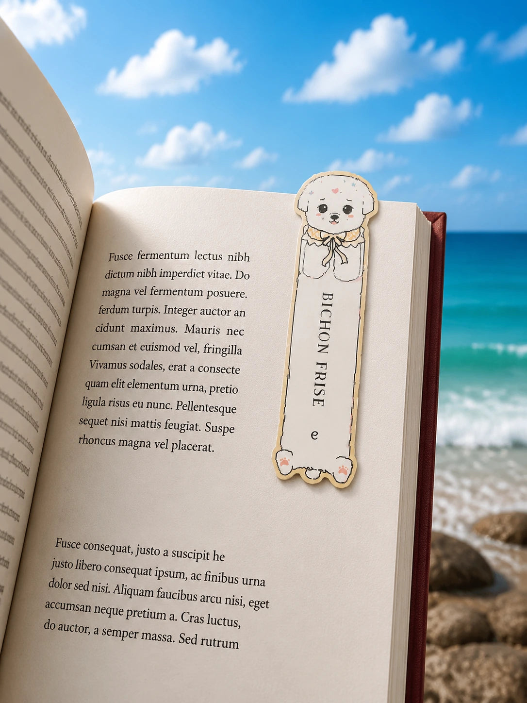 Bichon Frise Book Tag